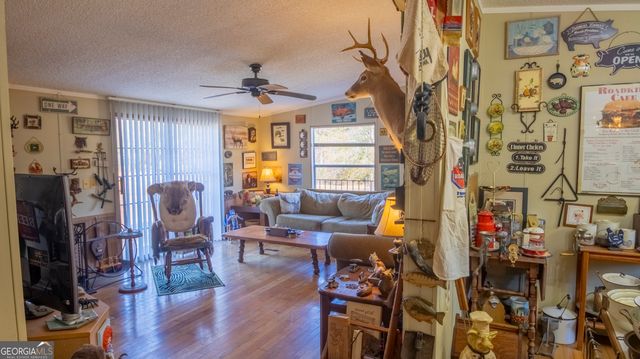 2717 Mount Pilgrim Road, Greenville, GA 30222