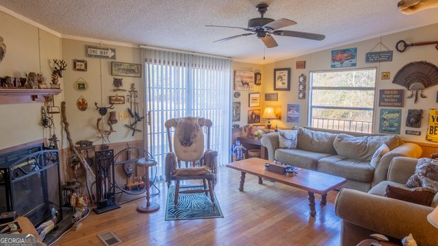 2717 Mount Pilgrim Road, Greenville, GA 30222