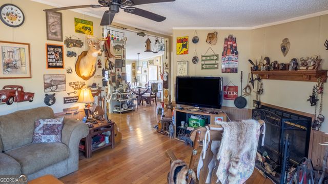 2717 Mount Pilgrim Road, Greenville, GA 30222