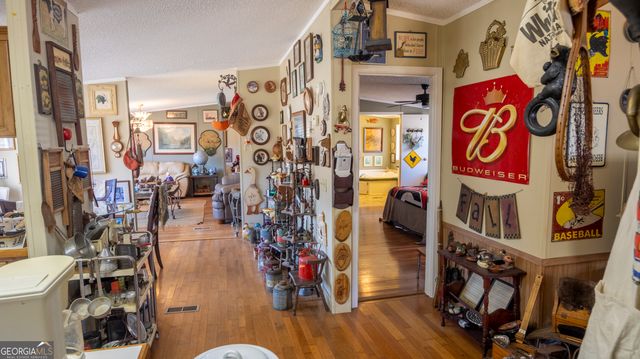 2717 Mount Pilgrim Road, Greenville, GA 30222