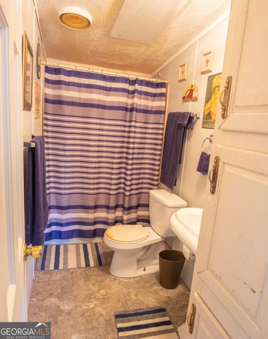 2717 Mount Pilgrim Road, Greenville, GA 30222