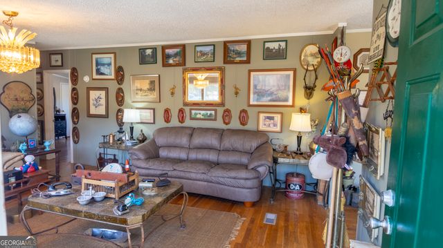 2717 Mount Pilgrim Road, Greenville, GA 30222