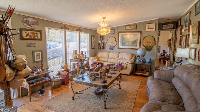 2717 Mount Pilgrim Road, Greenville, GA 30222