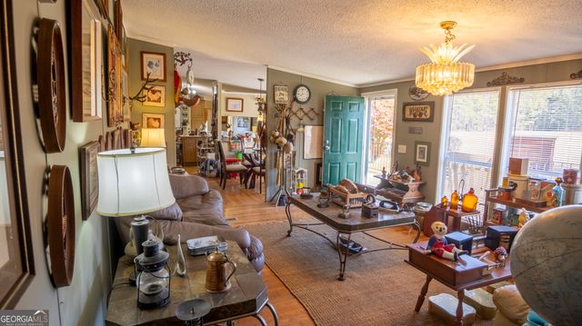 2717 Mount Pilgrim Road, Greenville, GA 30222