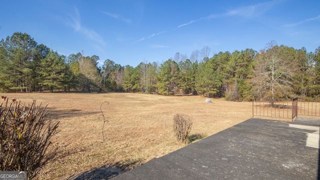 2717 Mount Pilgrim Road, Greenville, GA 30222