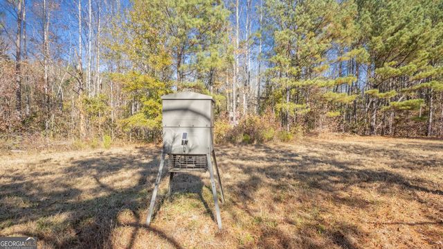 2717 Mount Pilgrim Road, Greenville, GA 30222