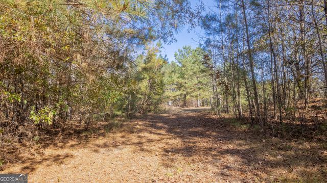 2717 Mount Pilgrim Road, Greenville, GA 30222