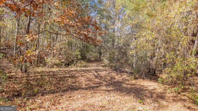 2717 Mount Pilgrim Road, Greenville, GA 30222