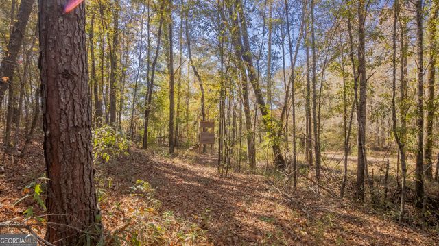 2717 Mount Pilgrim Road, Greenville, GA 30222