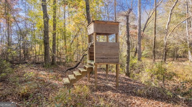 2717 Mount Pilgrim Road, Greenville, GA 30222