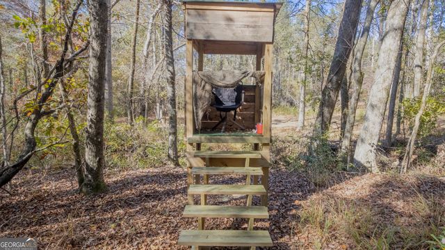 2717 Mount Pilgrim Road, Greenville, GA 30222