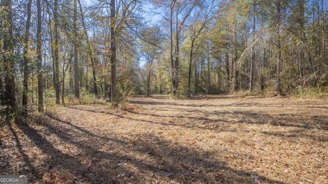 2717 Mount Pilgrim Road, Greenville, GA 30222