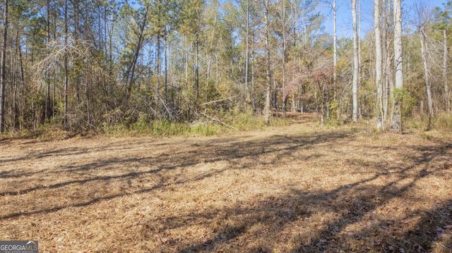 2717 Mount Pilgrim Road, Greenville, GA 30222