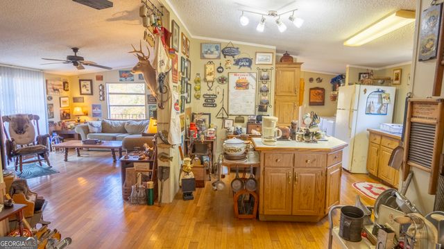 2717 Mount Pilgrim Road, Greenville, GA 30222