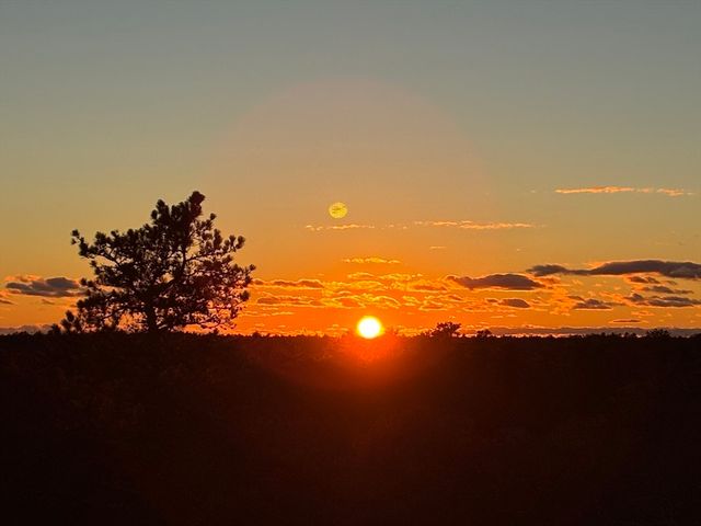 16 Broadleaf 19, Plymouth, MA 02360