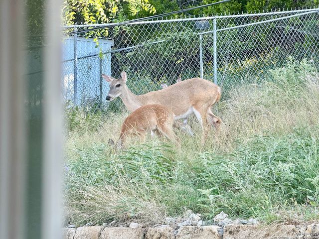 211 Poco Vista, Kerrville, TX 78028