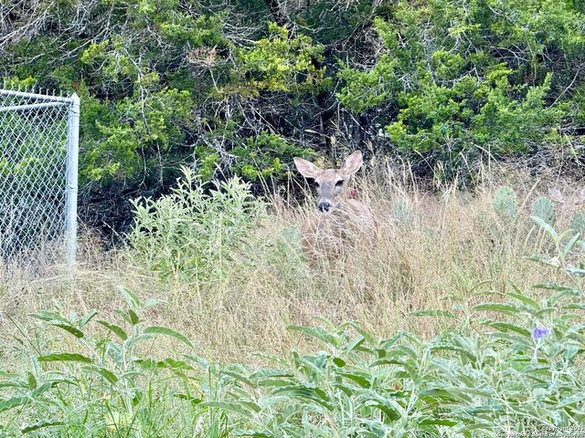 211 Poco Vista, Kerrville, TX 78028