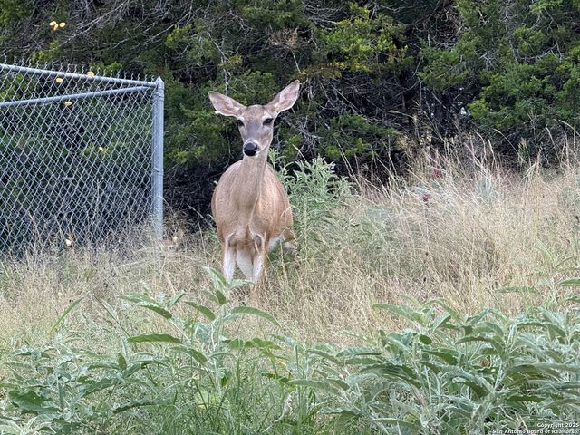 211 Poco Vista, Kerrville, TX 78028