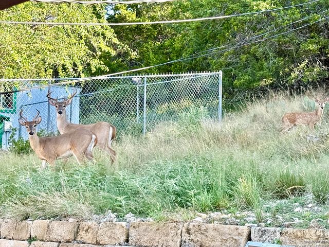 211 Poco Vista, Kerrville, TX 78028