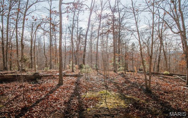 000 County Road 352, Piedmont, MO 63957