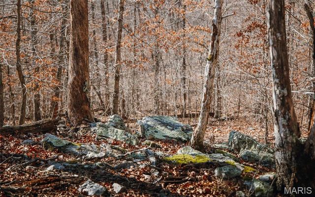 000 County Road 352, Piedmont, MO 63957