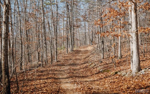 000 County Road 352, Piedmont, MO 63957