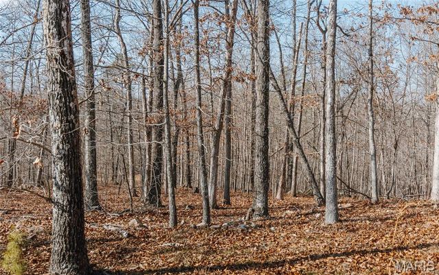 000 County Road 352, Piedmont, MO 63957