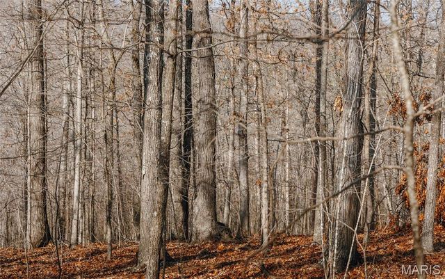 000 County Road 352, Piedmont, MO 63957