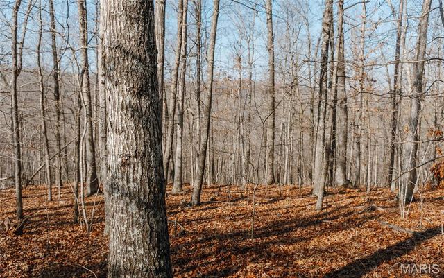 000 County Road 352, Piedmont, MO 63957