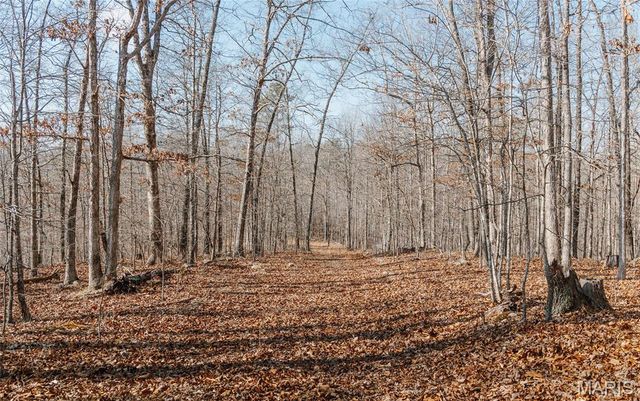 000 County Road 352, Piedmont, MO 63957