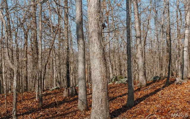 000 County Road 352, Piedmont, MO 63957