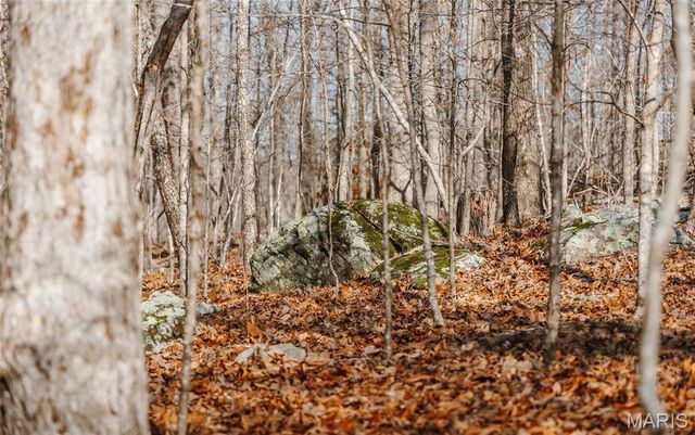 000 County Road 352, Piedmont, MO 63957