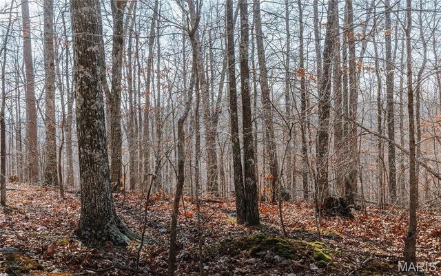 000 County Road 352, Piedmont, MO 63957