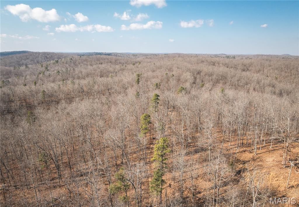 000 County Road 352, Piedmont, MO 63957