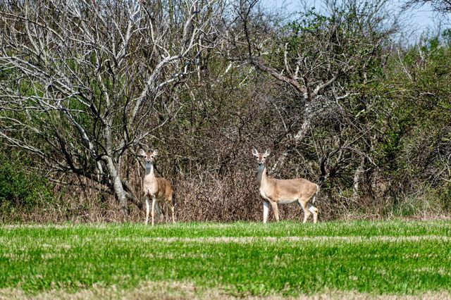3529 Kiawah Circle, Palacios, TX 77465