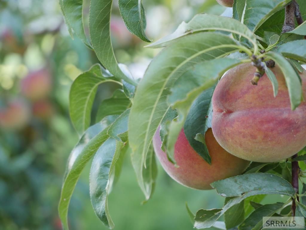 Image 44 of property listing at 5485 Pahala Drive, Idaho Falls, ID 83404