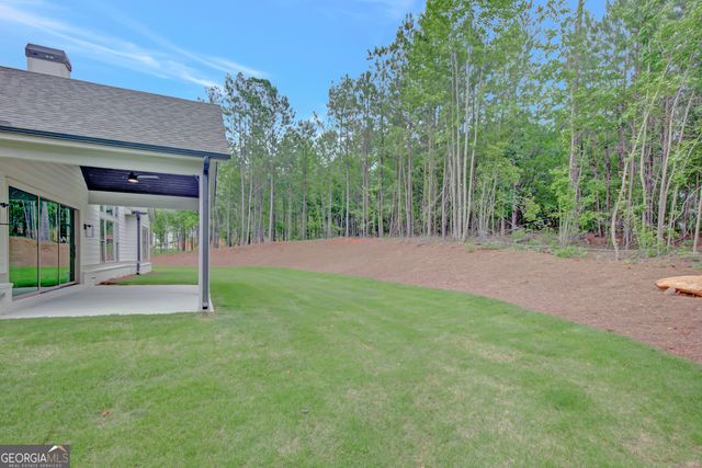172 Forest Berry Court LOT 100 M2A, Newnan, GA 30265