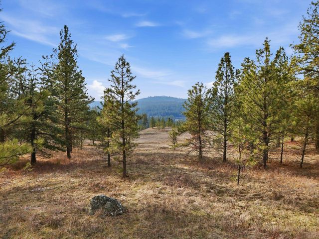 3344 Balsam Hill Ln, Valleyford, WA 99036