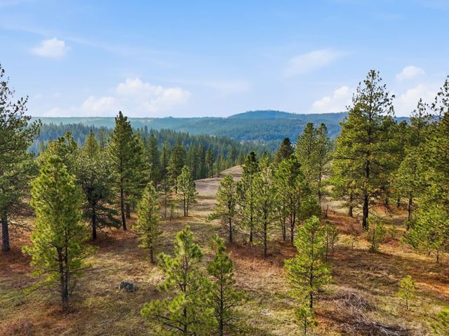 3344 Balsam Hill Ln, Valleyford, WA 99036