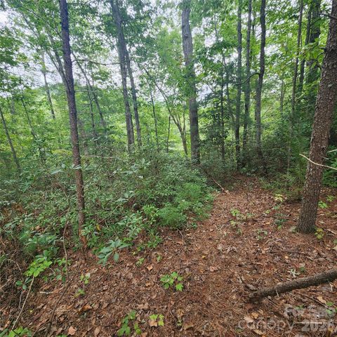 Lot 11 Waterside Drive, Lake Lure, NC 28746