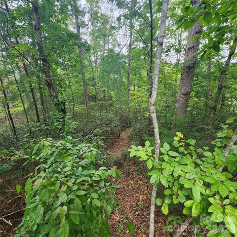 Lot 11 Waterside Drive, Lake Lure, NC 28746