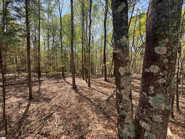 0 Lancaster Road, Spartanburg, SC 29376