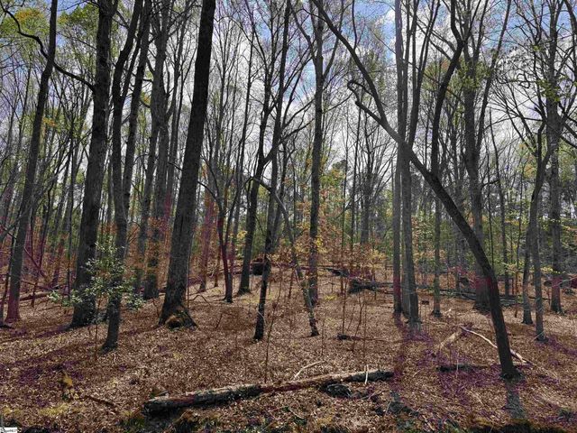 0 Lancaster Road, Spartanburg, SC 29376