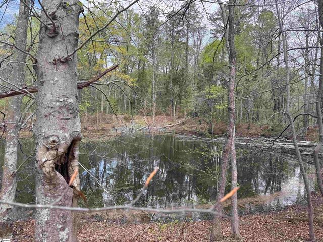 0 Lancaster Road, Spartanburg, SC 29376