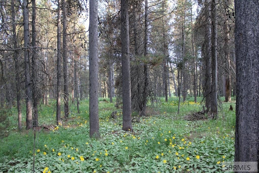 Image 1 of property listing at 3511 Buffalo Lane, Island Park, ID 83429