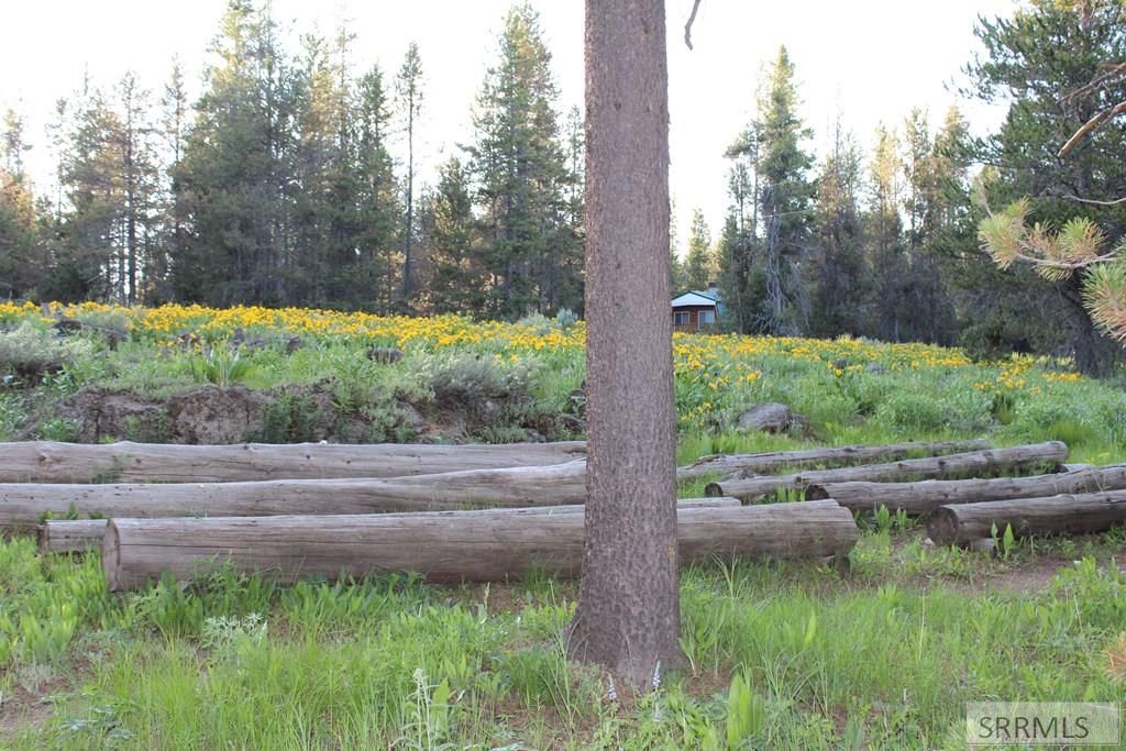 Image 11 of property listing at 3511 Buffalo Lane, Island Park, ID 83429