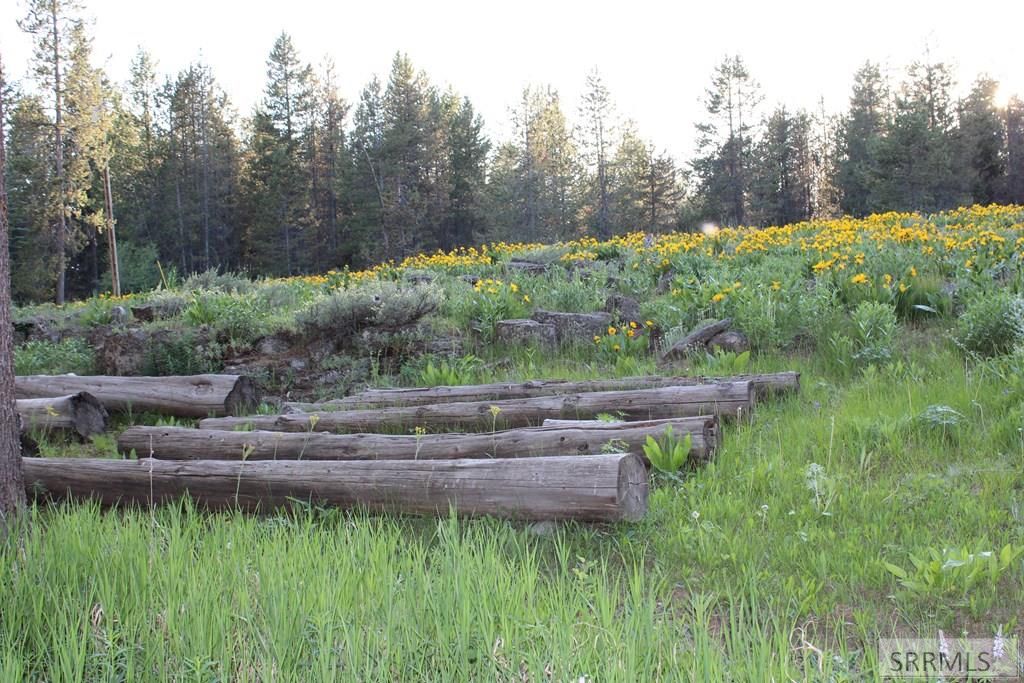 Image 12 of property listing at 3511 Buffalo Lane, Island Park, ID 83429
