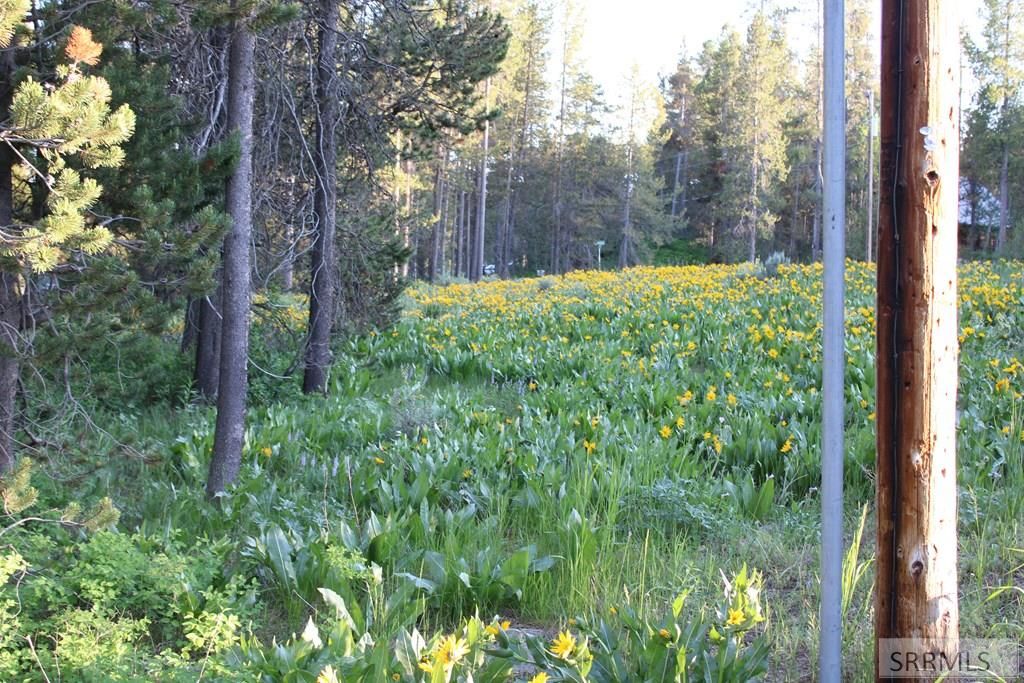 Image 13 of property listing at 3511 Buffalo Lane, Island Park, ID 83429