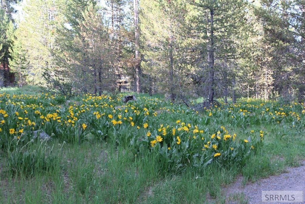 Image 14 of property listing at 3511 Buffalo Lane, Island Park, ID 83429