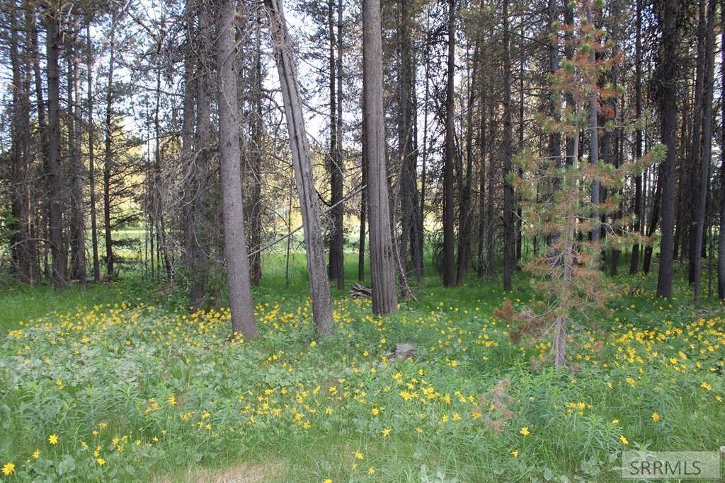 Image 15 of property listing at 3511 Buffalo Lane, Island Park, ID 83429